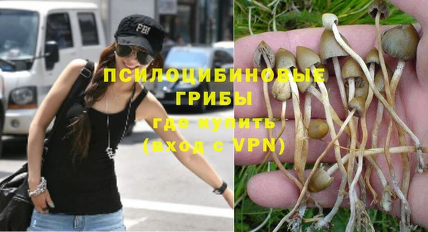 apvp Медвежьегорск
